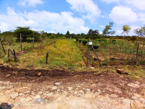 Mhasibu Housing - Plots for Sale in Ngong, Kibiko - Caribou Estate