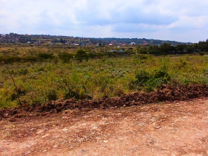 Mhasibu Housing Plots for Sale in Ngong' - Kibiko - Caribou Estate
