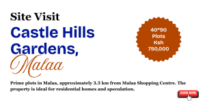 Mhasibu Housing Castle Hills Site Visit - 2nd August 2025