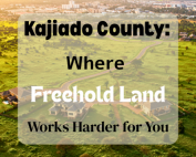 Mhasibu Housing Real Estate Kitengela Project