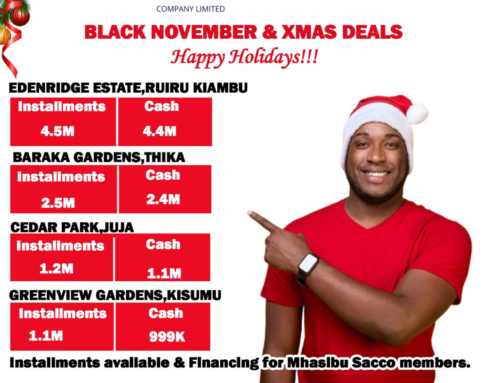 🎉 Holiday Offers Just for You — Limited Time Only! 🎉