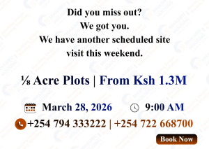 Cedar Park Phase 2 - 50*100 Plots for Sale in Juja Site Visit (28/3/2026)