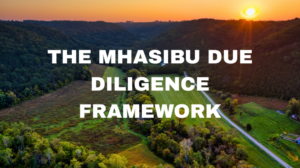 Mhasibu Housing Due Diligence Framework